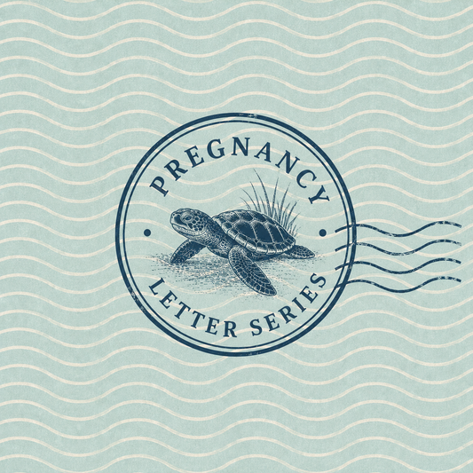 Pregnancy Letter Series - 6 Months